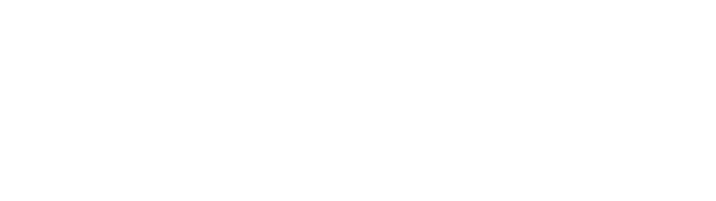 Self Storage Association of Australasia member logo