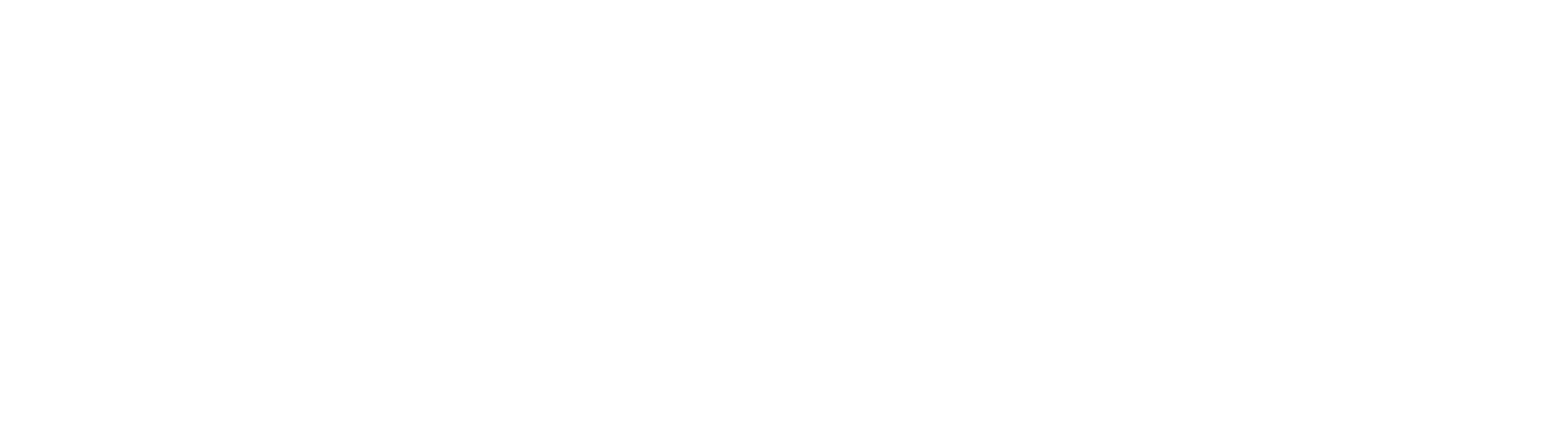 Self Storage Association of Australasia member logo